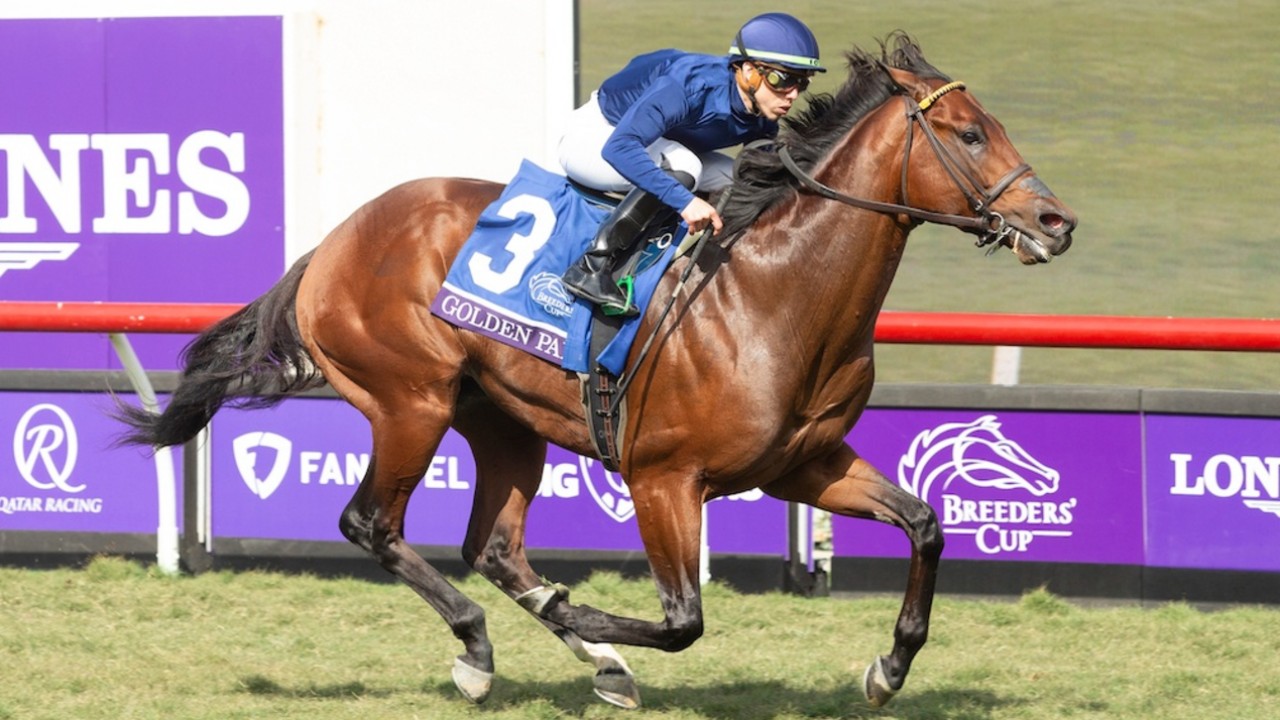 True Valour Is Now Breeders' Cup-Bound Image 1